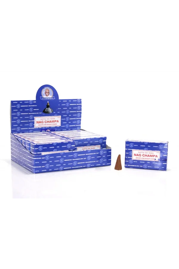 Satya Nagchampa Aromalı Geri Akış Tütsü