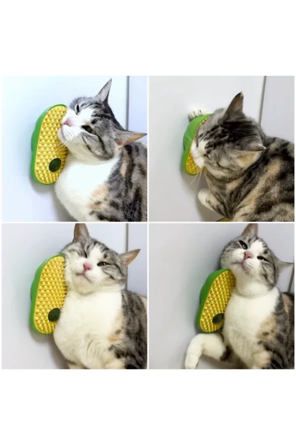 Silikon Kaşıyıcılı Kedi Otu