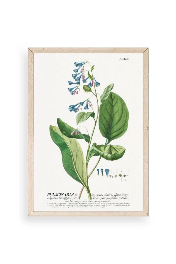 Stupell Ahşap Çerçeveli Tablo