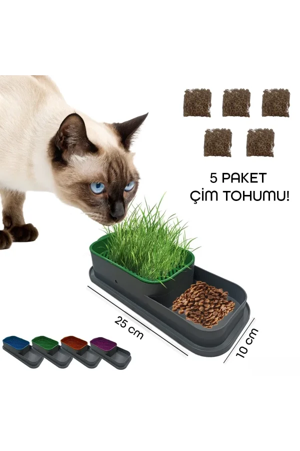 Topraksız Kedi Çimi Kabı