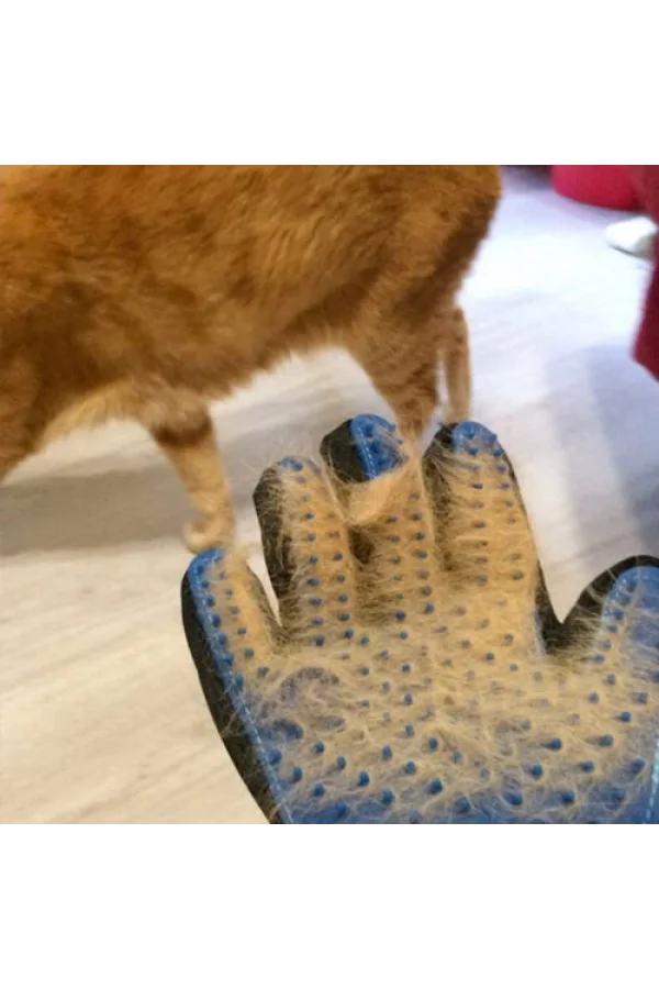 Tüy Toplama Eldiveni