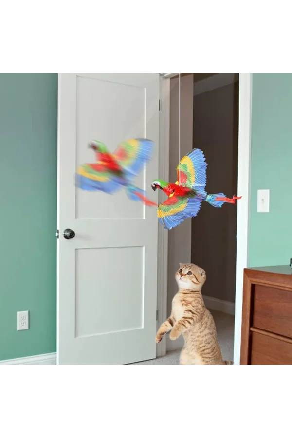 Uçan Papağan Kedi Oyuncağı