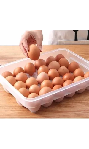 BUFFER® 30lu Yumurta Saklama Kabı