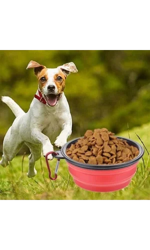 BUFFER® Katlanabilir Kedi Köpek Mama ve Su Kabı Köpek Oyuncağı