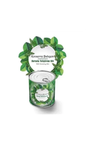 BUFFER® Konserve Bahçem Evde Konservede Dereotu Yetiştirme Kiti Aparatı