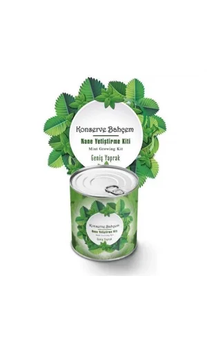 BUFFER® Konserve Bahçem Nane Yetiştirme Kiti