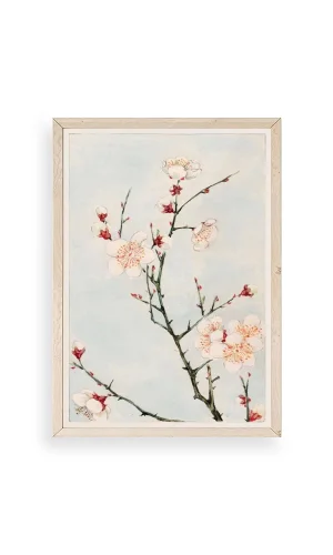 Cherry Blossom Ahşap Çerçeveli Tablo