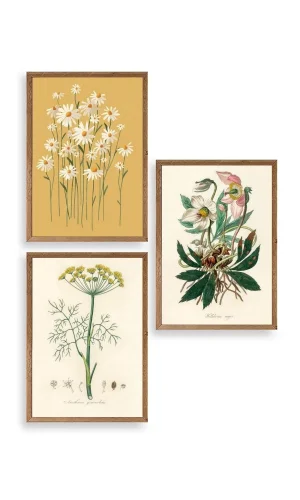 Çiçek Üçlü Ahşap Çerçeveli Tablo