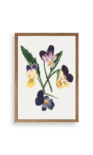 Çiçekler Ahşap Çerçeveli Tablo