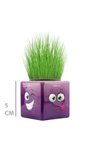 Çim Adam Mini Küp Emoji Figürlü 1 Adet