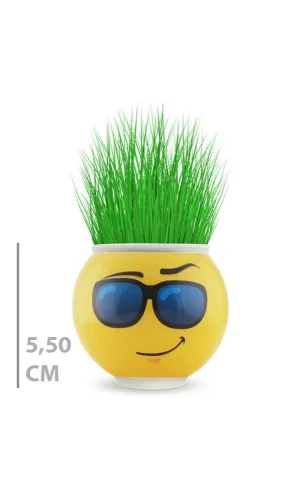 Çim Adam Saksı Emoji Figürlü 1 Adet
