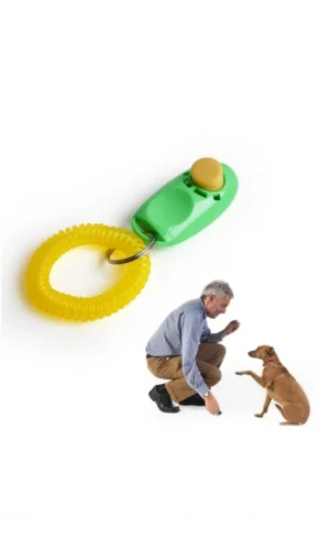 Clicker Köpek Eğitim Aleti