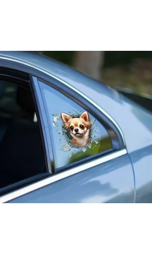 Fulcar Chiuahua Araç Stickerı