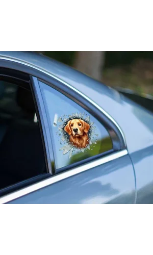 Fulcar Golden Araç Stickerı