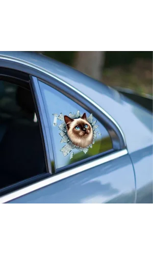 Fulcar Siamesse Araç Stickerı