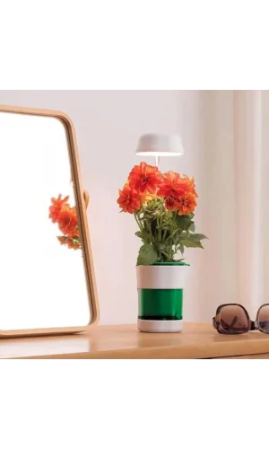 Hızlı Bitki Yetiştirme Saksısı