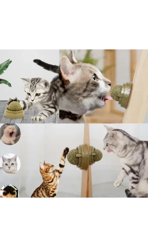 Kedi Nanesi Oyun Topu