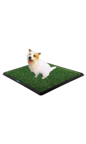 Köpek Tuvalet Eğitim Seti