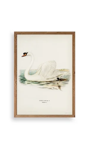 Kuğu Ahşap Çerçeveli Tablo