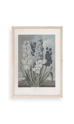 Legendarte Canvas Ahşap Çerçeveli Tablo