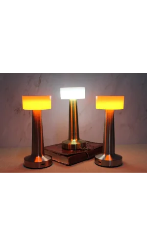 Masaüstü Dokunmatik Ledli Lamba Model 4