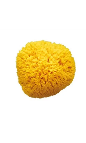 OkBaby Doğal Banyo Süngeri / Küçük