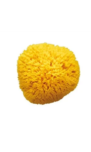 OkBaby Doğal Banyo Süngeri / Orta