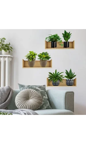 Raflı Bitki Tasarımlı Yapışkanlı Sticker 20*30 cm 3lü Set
