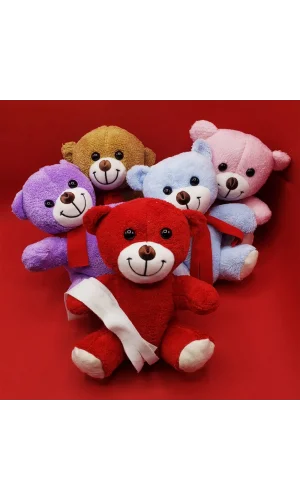 Renkli Peluş Ayıcık