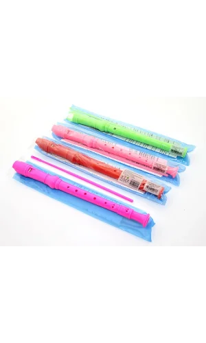 Renkli Plastik Flüt