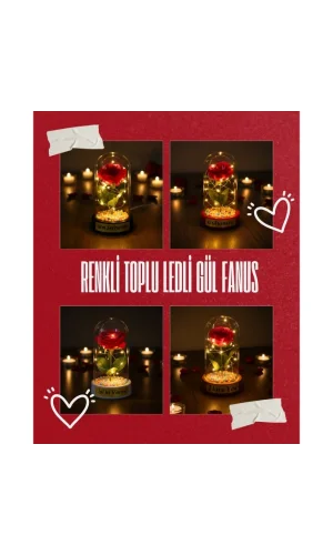 Renkli Toplu Ledli Gül Fanus