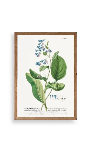 Stupell Ahşap Çerçeveli Tablo