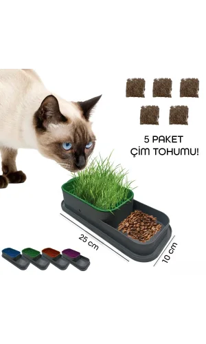 Topraksız Kedi Çimi Kabı