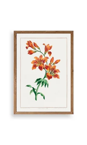 Turuncu Zambak Ahşap Çerçeveli Tablo