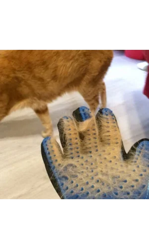 Tüy Toplama Eldiveni