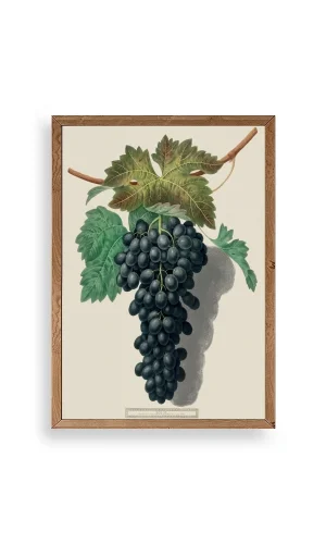 Üzüm Ahşap Çerçeveli Tablo