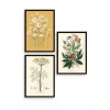 Çiçek Üçlü Ahşap Çerçeveli Tablo