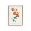 Turuncu Zambak Ahşap Çerçeveli Tablo
