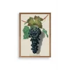 Üzüm Ahşap Çerçeveli Tablo