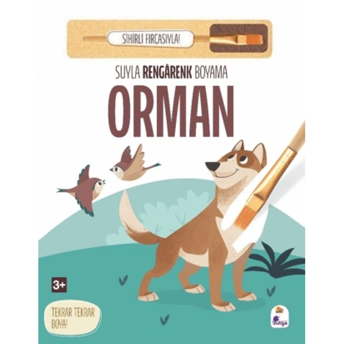 Suyla Rengarenk Boyama - Orman Sihirli Fırçasıyla - İndigo Çocuk