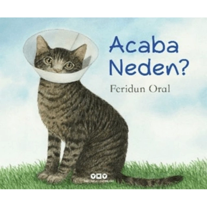 Acaba Neden?-(Karton Kapak)-Feridun Oral- Yapı Kredi Yayınları