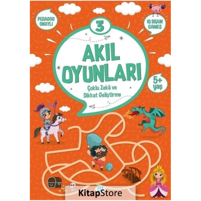 Akıl Oyunları 3- (5+ Yaş)-Kolektif- Dokuz Yayınları