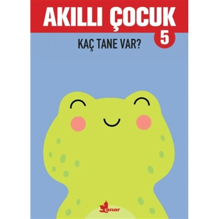 Akıllı Çocuk 5-Kaç Tane Var? - Çınar Yayınları