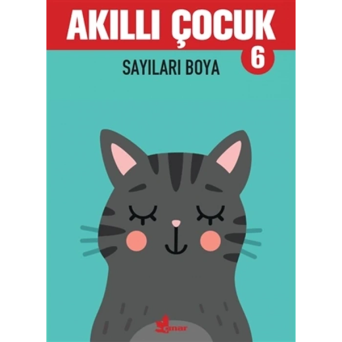 Akıllı Çocuk 6-Sayıları Boya - Çınar Yayınları