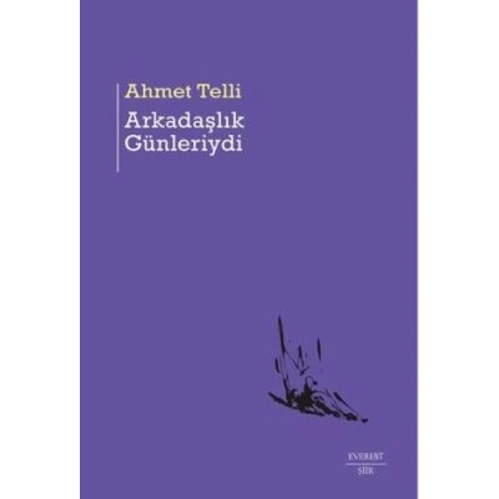 Arkadaşlık Günleriydi-Ahmet Telli- Everest Yayınları