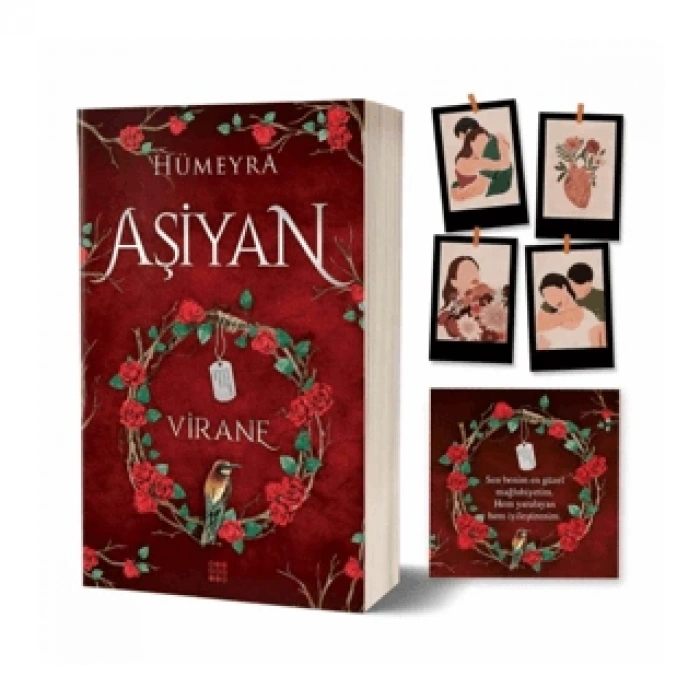 Aşiyan 1-Virane-(Karton Kapak)-Hümeyra-Dokuz Yayınları