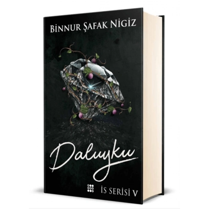 Daluyku İs Serisi 5 (Ciltli) - Binnur Şafak Nigiz - Dokuz Yayınları