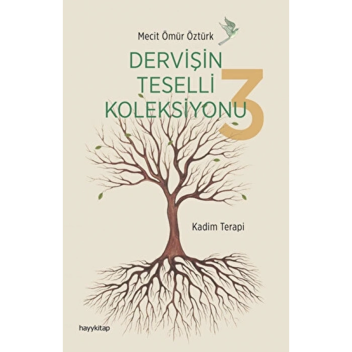 Dervişin Teselli Koleksiyonu 3 - Mecit Ömür Öztürk - Hayykitap Yayınları