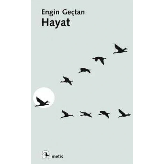Hayat - Engin Geçtan - Metis Yayınları