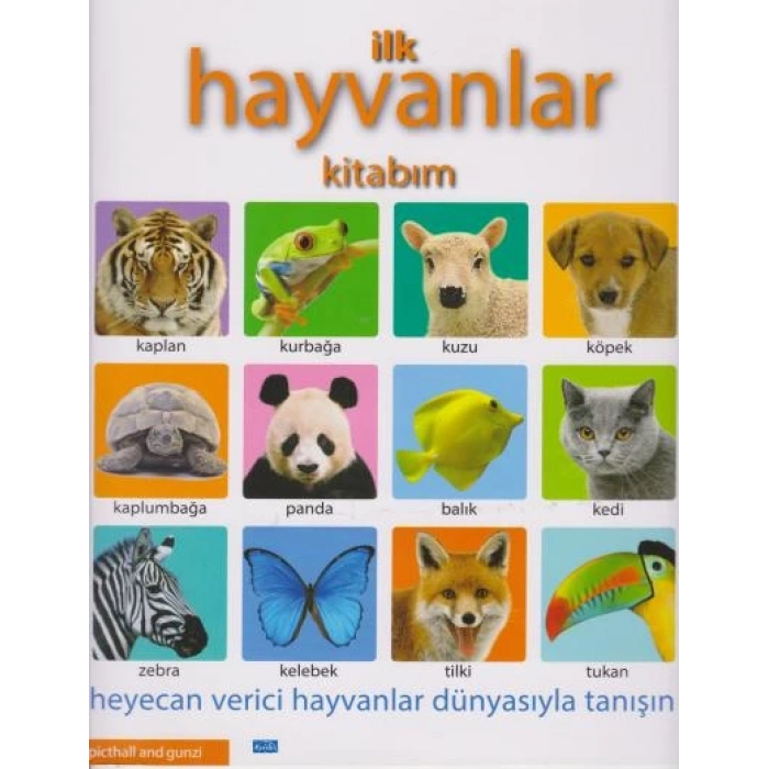İlk Hayvanlar Kitabım - Parıltı Yayınları